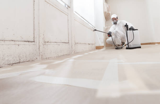 24/7 Emergency Attic Mold Removal experts in Columbus, GA